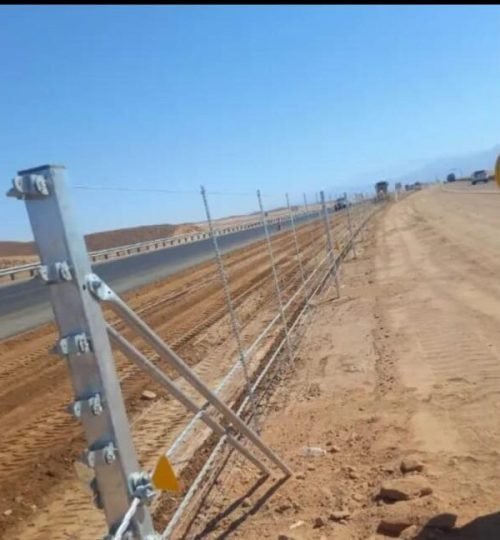 whatsapp image 2025 09 25 at 16.22.47 c5428df4